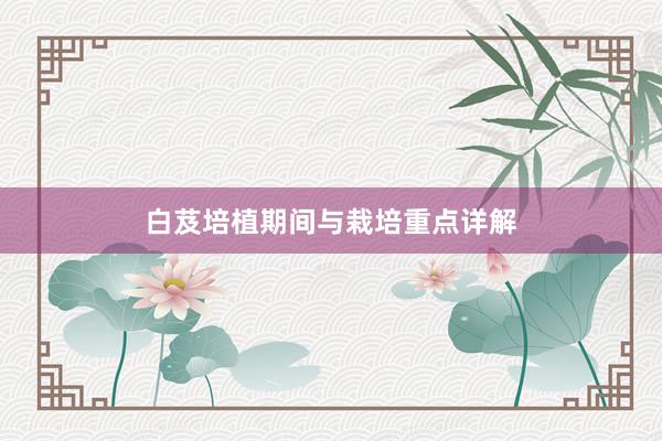 白芨培植期间与栽培重点详解